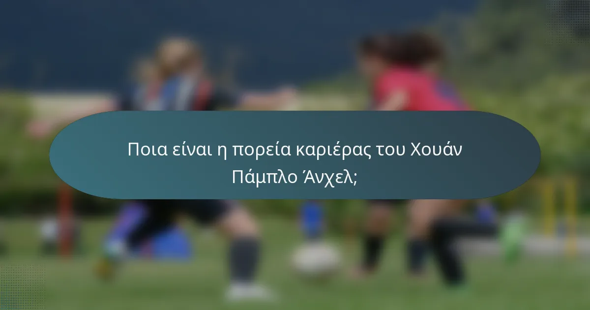 Ποια είναι η πορεία καριέρας του Χουάν Πάμπλο Άνχελ;